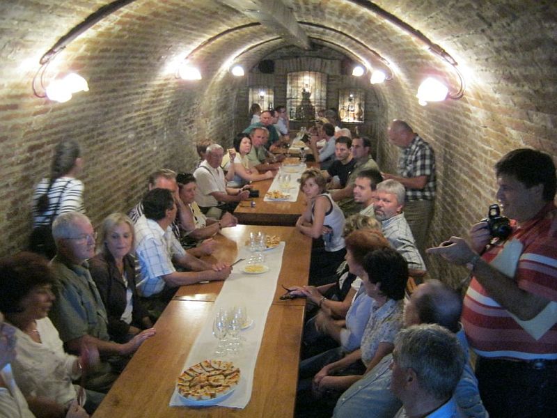 Vincekovo u Osijeku i okolici (20.-22.01.)